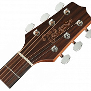 TAKAMINE GD11M NS