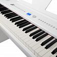 ROCKDALE Elegy White