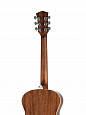 Parkwood P630-WCASE-NAT