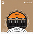 D`ADDARIO EJ43