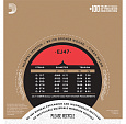 D`ADDARIO EJ47