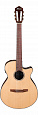 IBANEZ AEG50N-NT