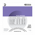 D`ADDARIO EJ13