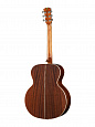 Caraya F666