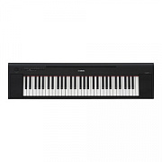 Yamaha Piaggero NP-15B