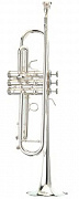 Stomvi Mambo Titanium 5311