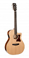 CORT GA1E-OP-WBAG Grand Regal Series