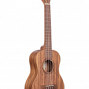 KA-TEAK-T