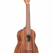 KA-TEAK-C
