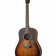 CORT EARTH100SSF-SB-WBAG Earth Series