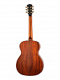 Cort OM-LE-KOA-WCASE-NAT
