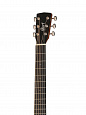 CORT Little-CJ-Adk-OP-WBAG CJ Series