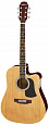 ARIA AWN-15CE N