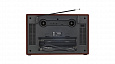 RITMIX RPR-102 CARBON