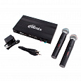 RITMIX RWM-221