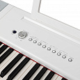 ROCKDALE Elegy White