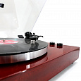 Music Public Kingdom TT53AT Red Wood