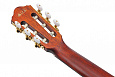 IBANEZ AEG50N-NT