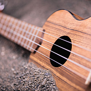 KALA KA-PWC Kala Pacific Walnut Concert Ukulele
