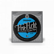 D`ADDARIO EJ31