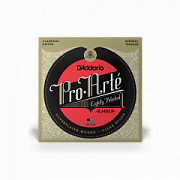 D`ADDARIO EJ45LP
