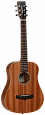TANGLEWOOD TW2 T