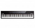 ALESIS CONCERT