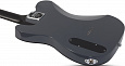 SCHECTER PT EX DORIAN GRAY