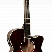 TANGLEWOOD TW4 E AVB