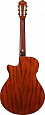 IBANEZ AEG50N-NT