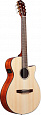 IBANEZ AEG50N-NT