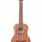 KA-TEAK-T