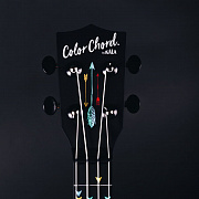 KALA Learn To Play Color Chord