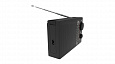 RITMIX RPR-195