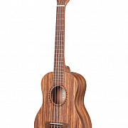 KA-TEAK-T