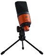 ESI U22 XT cosMik Set