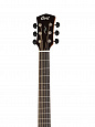 CORT CORE-GA-ABW-OPLB Core Series