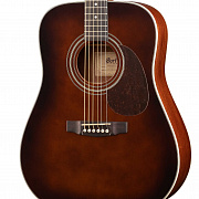 CORT EARTH70-BR-WBAG Earth Series