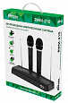 RITMIX RWM-210