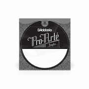 D`ADDARIO J4601