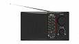 RITMIX RPR-195