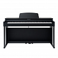 ROCKDALE Concert Black