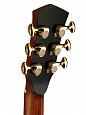 Cort OM-LE-KOA-WCASE-NAT