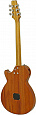 ARIA APE-100 N