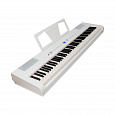ROCKDALE Elegy White