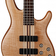 Cort Artisan Series