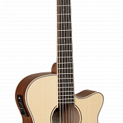 TANGLEWOOD TW12 CE