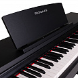 ROCKDALE Arietta Black