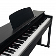 ROCKDALE Concert Black
