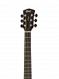 CORT CORE-DC-AMH-OPBB Core Series